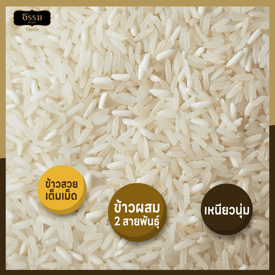 ธรรม ข้าวหอมมะลิเชียงราย ผสมข้าวเหนียวเขี้ยวงูเชียงราย คุณภาพคัดพิเศษ 100% ขนาด 525 กรัม แพ็ค 10 ถุง (ยกลัง)