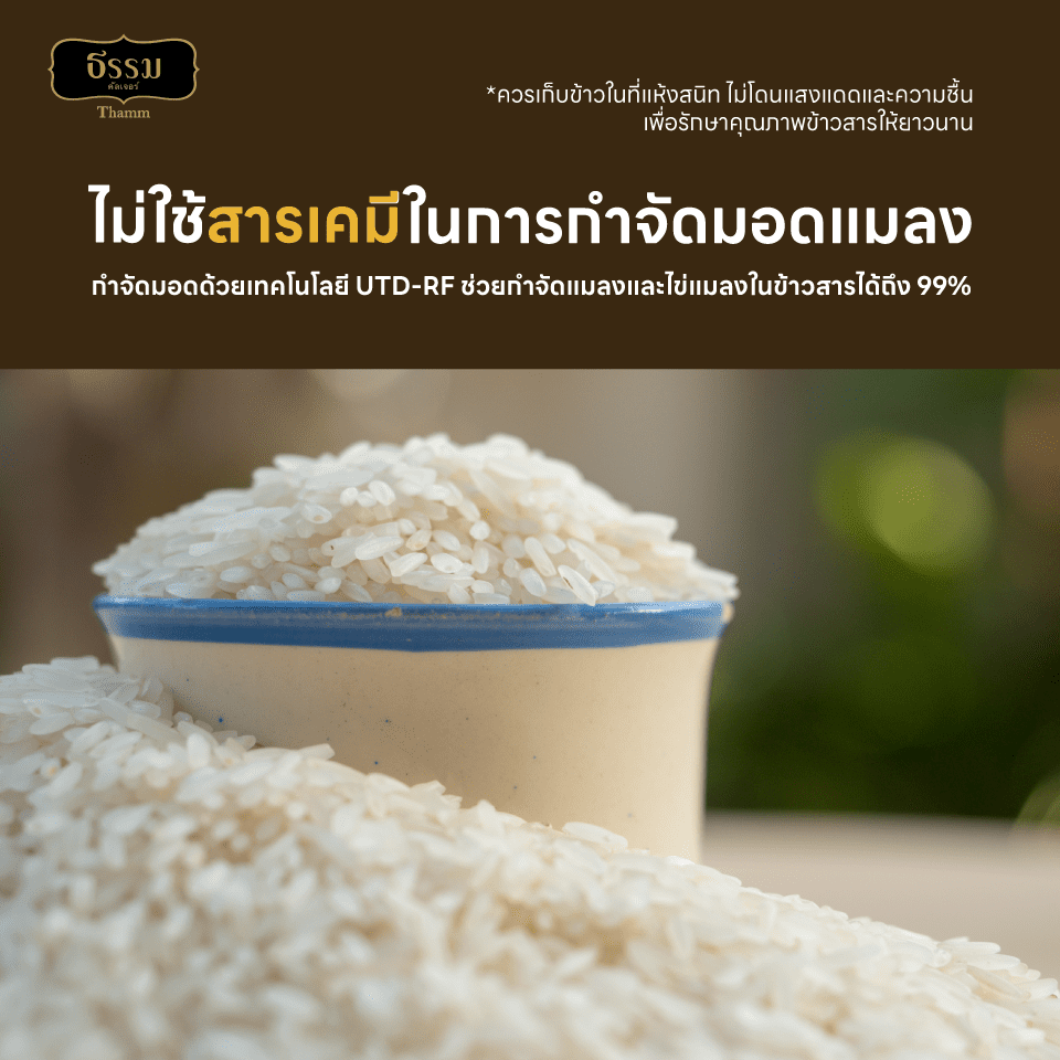 ธรรม ข้าวหอมคัดพิเศษ ขนาด 5 กก. แพ็ค 4 ถุง
