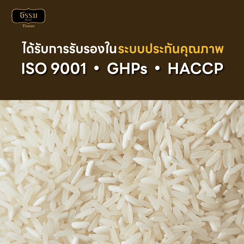 ธรรม ข้าวหอมมะลิเชียงราย ผสมข้าวเหนียวเขี้ยวงูเชียงราย คุณภาพคัดพิเศษ 100% ขนาด 525 กรัม แพ็ค 10 ถุง (ยกลัง)