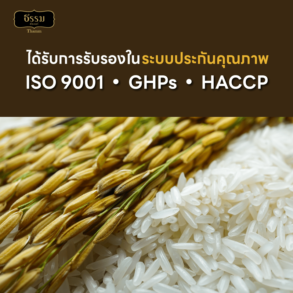 ธรรม ข้าวหอมมะลิเชียงราย คุณภาพคัดพิเศษ 100% ขนาด 5 กก. แพ็ค 4 ถุง