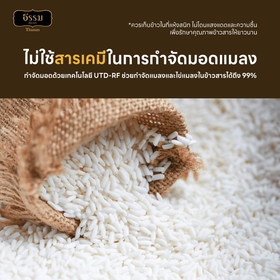 ธรรม ข้าวเหนียวเขี้ยวงูใหม่ต้นฤดู คุณภาพคัดพิเศษ ขนาด 1 กก. แพ็ค 4 ถุง