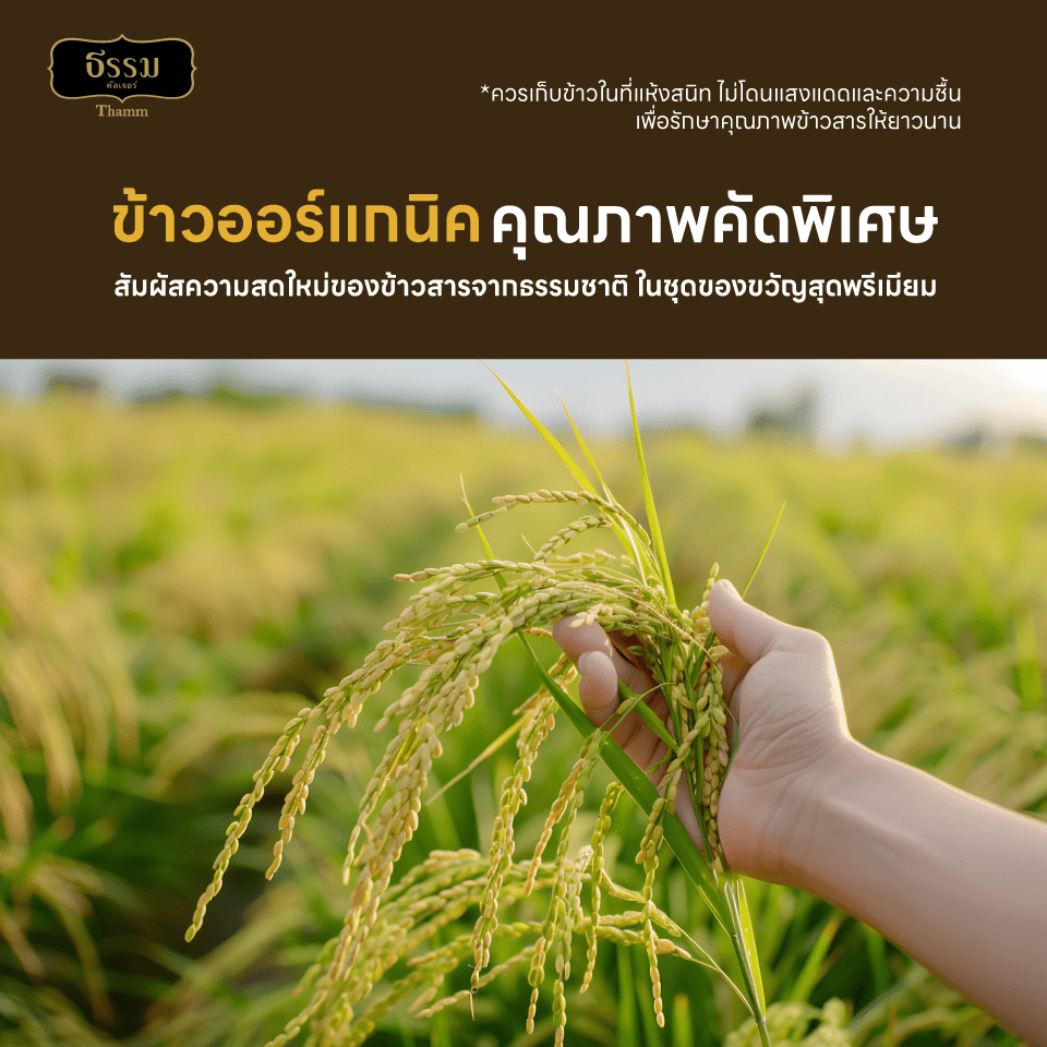 ชุดของขวัญ ธรรม คัลเจอร์ THAMM Organic Gift set Storybook ข้าว 3 กษัตริย์ รวม 700 กรัม 1 ชุด