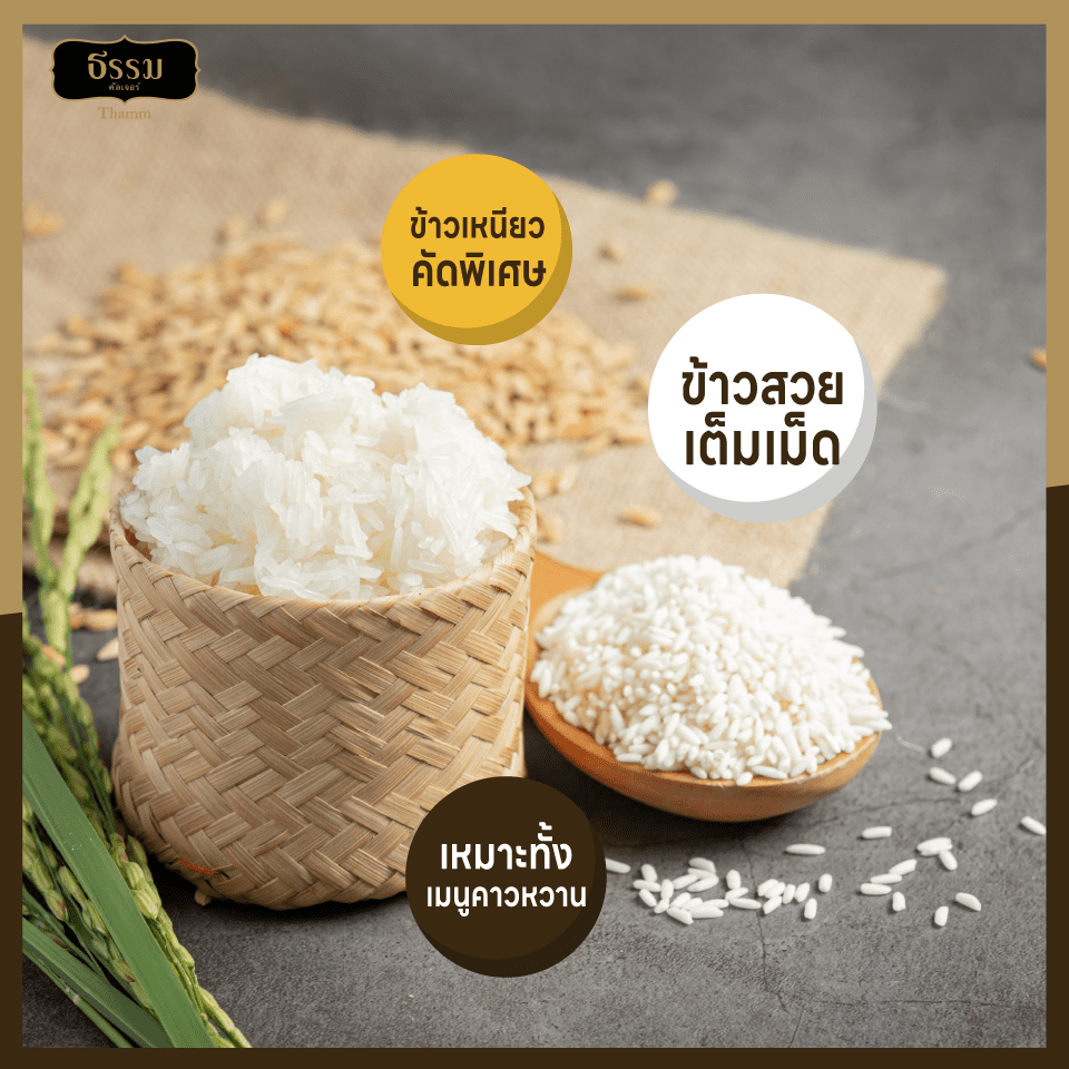 ธรรม ข้าวเหนียวขาว (สันป่าตอง) คุณภาพคัดพิเศษ ขนาด 5 กก. แพ็ค 4 ถุง