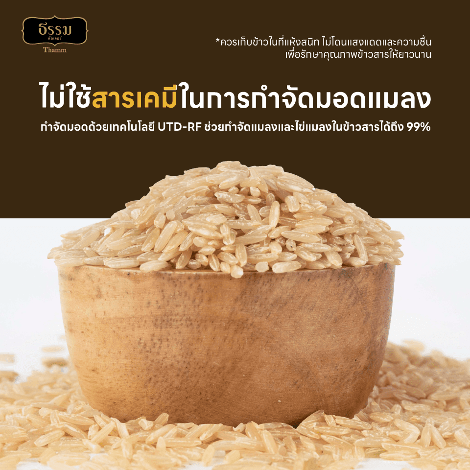 ธรรม ข้าวกล้องหอมใหม่ต้นฤดู คุณภาพคัดพิเศษ 100% ขนาด 5 กก. แพ็ค 4 ถุง